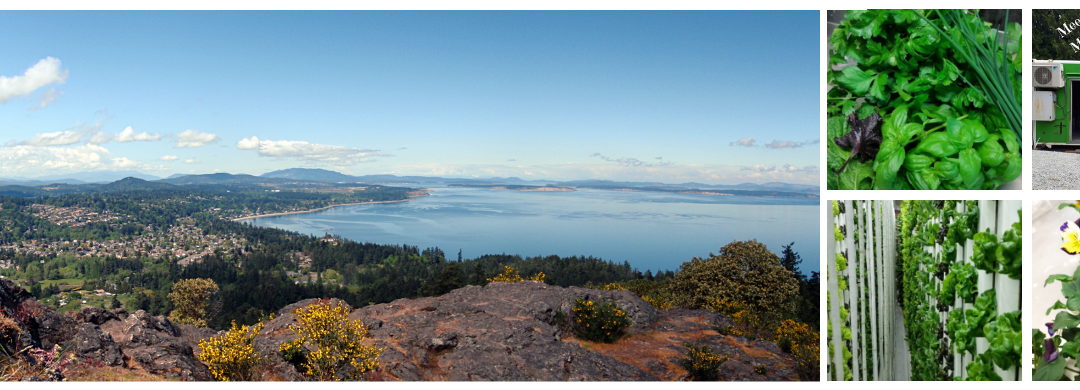 Cordova Bay with Tamara Knot