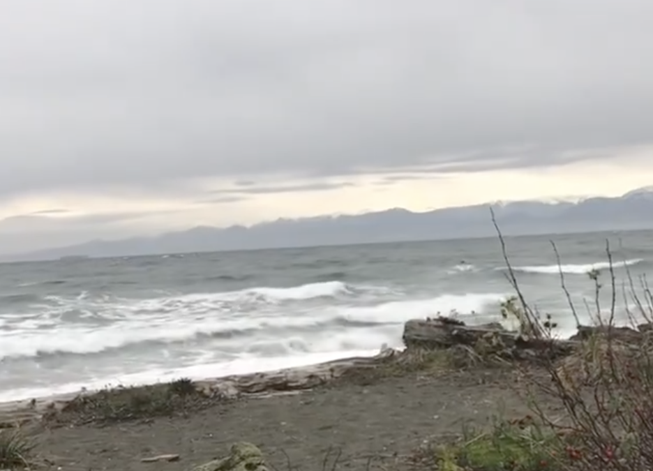 Colwood/Esquimalt Lagoon Winter By The Sea