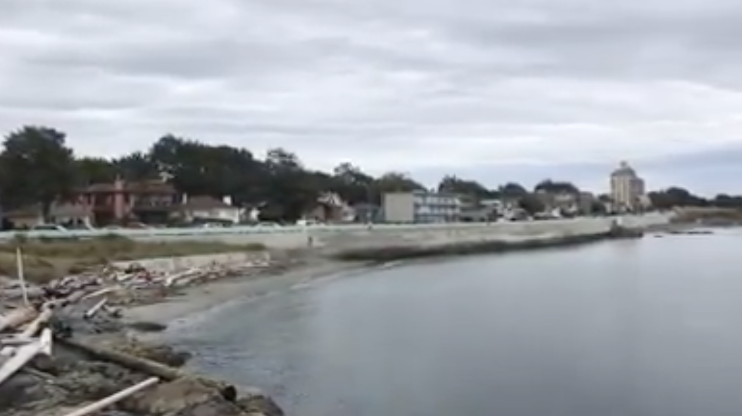 The Breakwater at Ogden Point