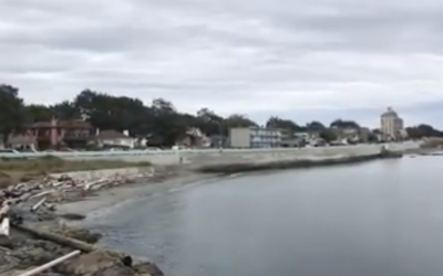 The Breakwater at Ogden Point