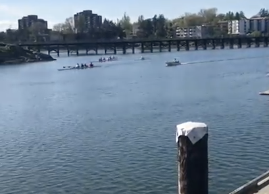 Junior Rowers at Gorge Narrows Rowing Club