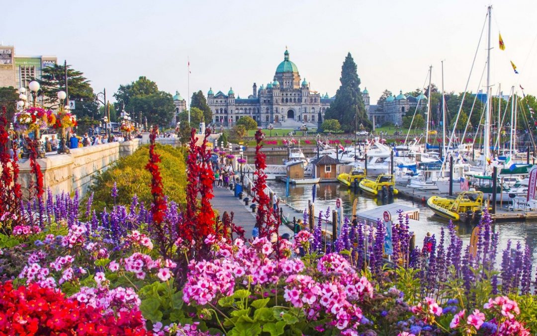 Downtown Victoria with Carissa Ropponen