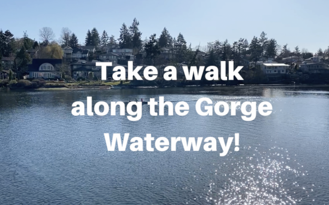 Take a walk along the Gorge Waterway!