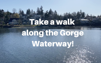 Take a walk along the Gorge Waterway!