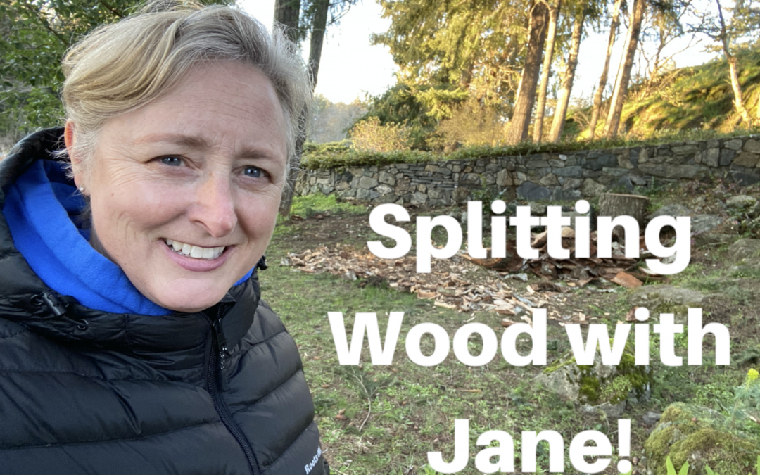 Splitting Wood with Jane!