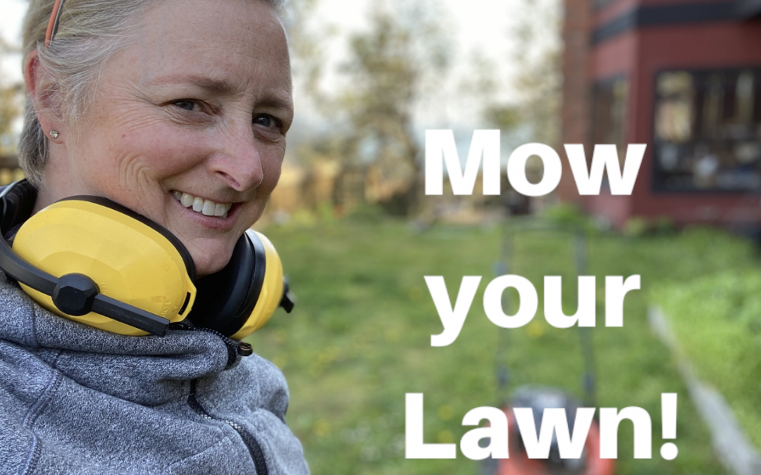 Mow your Lawn!