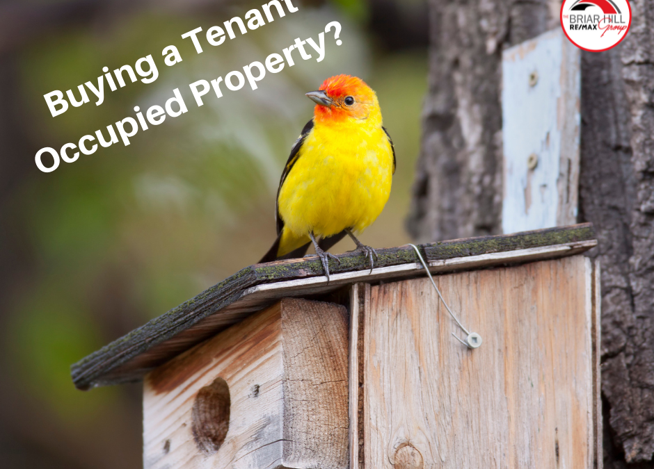 Buying a Tenant Occupied Property in Victoria BC